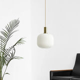 Retro Nordic Glass Pendant Light