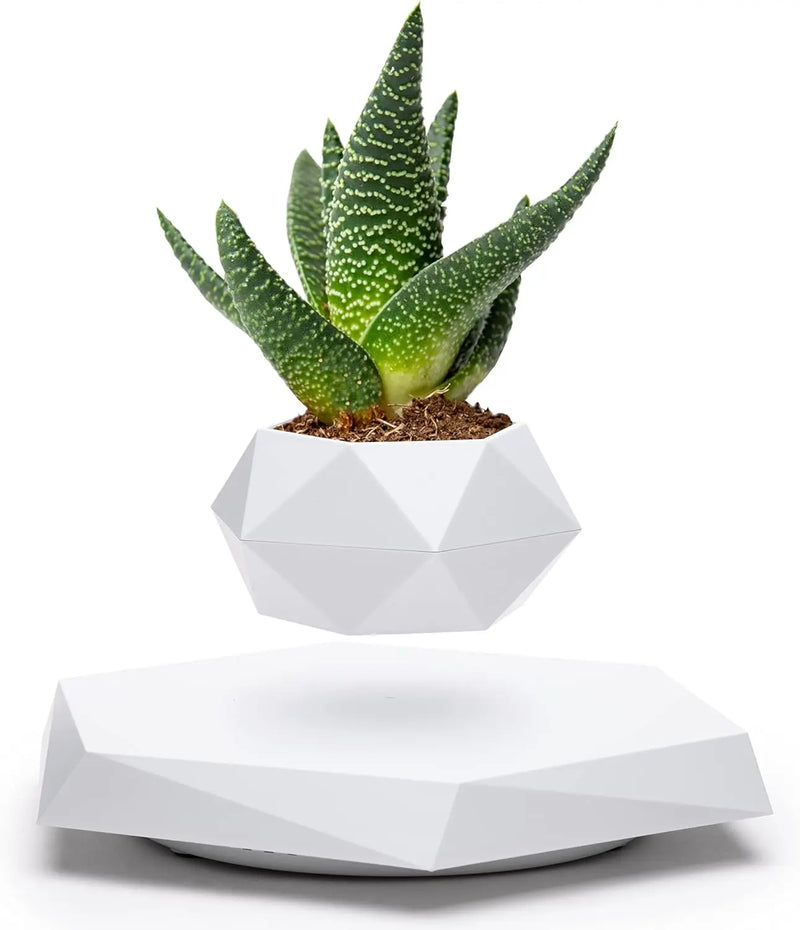 Magnetic Levitating Plant Pot Floating Flower Planter Hovering Rotating Levitation Decor Kids Adult Christmas Birthday Gift