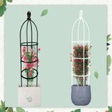 1Set Climbing Plant Trellis Garden Support Cages For Flowers Plants Climbing Support Frame Trellis DIY Vines Pot Plant Stand