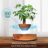 Air Bonsai  Levitating Flower Pot Floating Plant Pot Cool Home Decor Christmas Gifts Planter