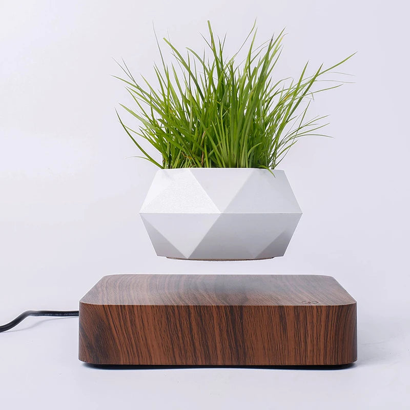 Magnetic Levitating Bonsai Pot Mini Plants Flower Pot Silent Hover Rotation Children Adults Christmas Birthday Gifts Desk Decor