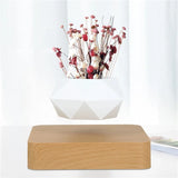 Levitating Air Bonsai Pot Rotation Flower Pot Planters Magnetic Suspension Floating Pot Potted Plant Home Without Plants