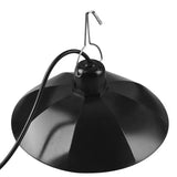 Solar Pendant Light