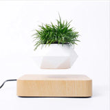 Levitating Air Bonsai Pot Rotation Flower Pot Planters Magnetic Suspension Floating Pot Potted Plant Home Without Plants