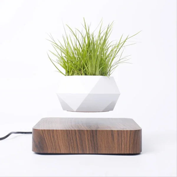 Levitating Air Bonsai Pot Rotation Flower Pot Planters Magnetic Suspension Floating Pot Potted Plant Home Without Plants