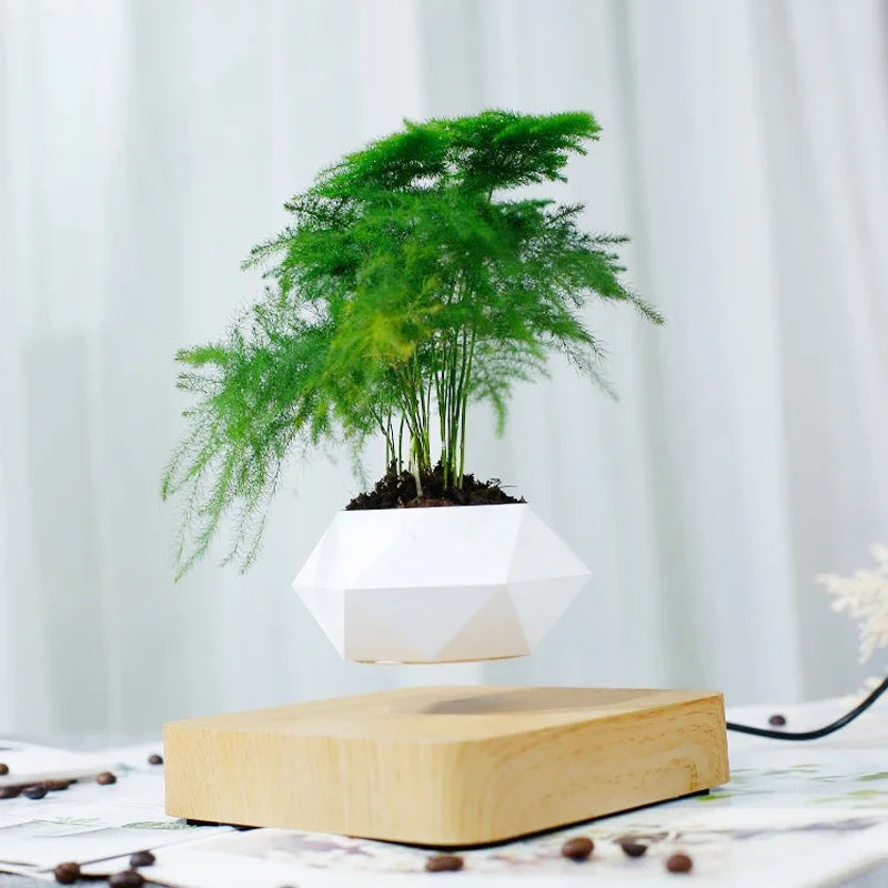 Levitating Air Bonsai Pot Rotation Flower Pot Planters Magnetic Suspension Floating Pot Potted Plant Home Without Plants