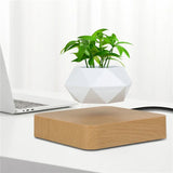 Levitating Air Bonsai Pot Rotation Flower Pot Planters Magnetic Suspension Floating Pot Potted Plant Home Without Plants