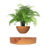 Air Bonsai  Levitating Flower Pot Floating Plant Pot Cool Home Decor Christmas Gifts Planter